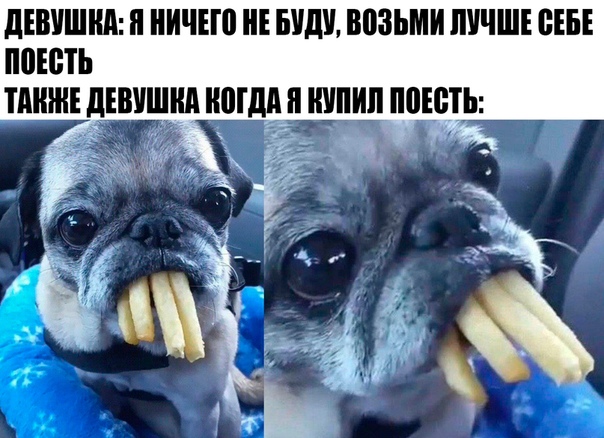 Юмор приколы вк