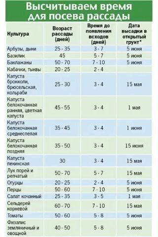 Рассадная считалочка для чайников Как правильно выбрать время для посадки семянВ этом году выращивать овощи на своих шести сотках собираются даже те, кто никогда не копался в земле. Что