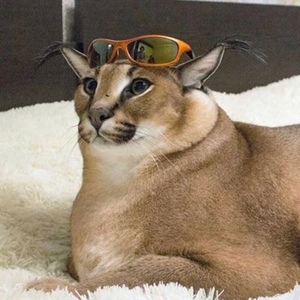 Floooop_tushonka - Twitch