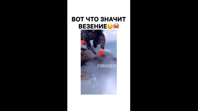Vine video