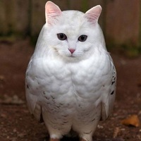 Александр Александров