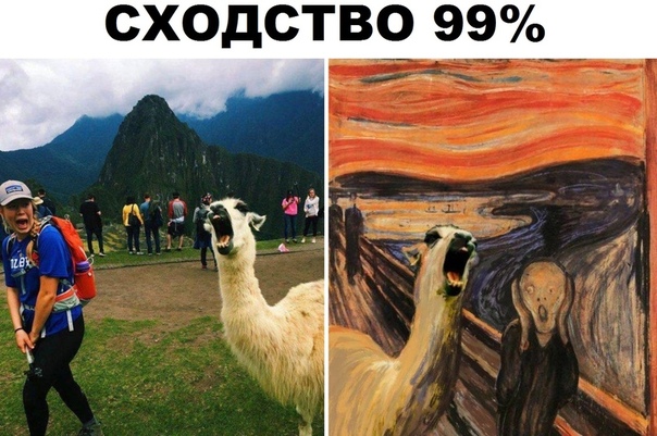 мемасики