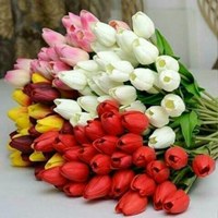 Фото Сарвиноз Иристаевой ВКонтакте