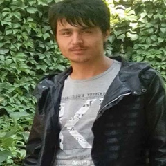 Taifen Raman
